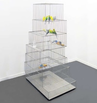 Museum-Mimicking Bird Cages Image 3