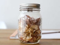 Mason Jar Pencil Sharpeners Image 2