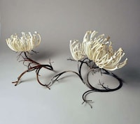 Delicate Bone Sculptures Image 3