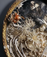 Delicate Bone Sculptures Image 6