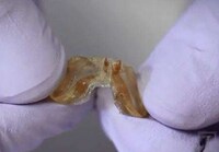 Self-Healing Plastics Image 3