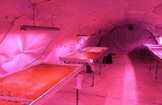 Revamped War Shelter Farms