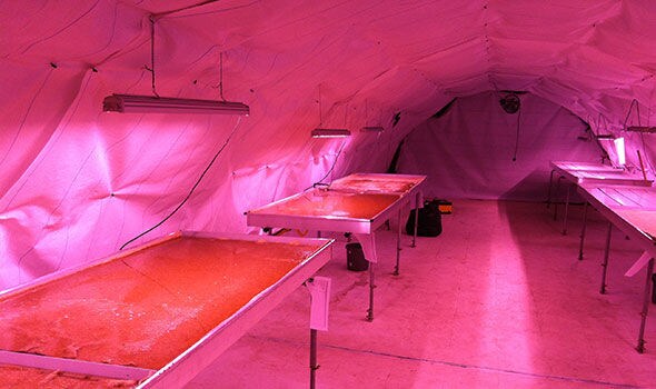 Revamped War Shelter Farms