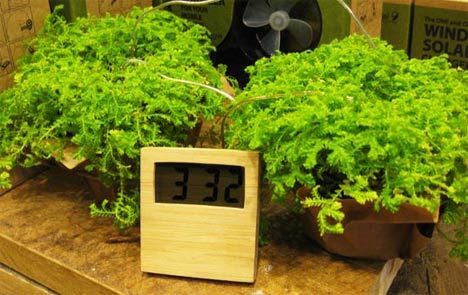 20 Subtly Sustainable Clocks