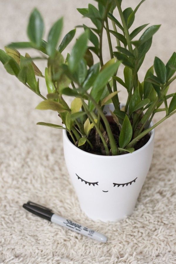 Personified Planter Projects