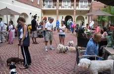 Dog-Friendly Happy Hour