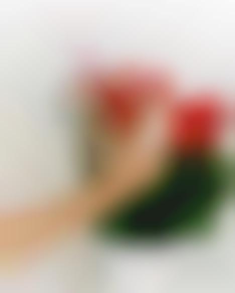 LUPE Touchscreen Camera