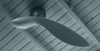 Designs Inpired by Trees Image 3