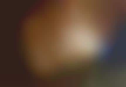 Naughty Wood Furniture