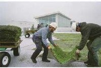 Eco-Friendly Car Plants Image 3