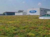 Eco-Friendly Car Plants Image 7