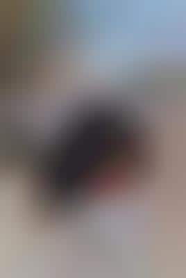 Trick Photography