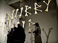 Bones as 3D Typography Image 2