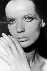 Iconic Supermodel  Biographies Image 3