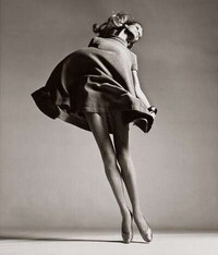 Iconic Supermodel  Biographies Image 4