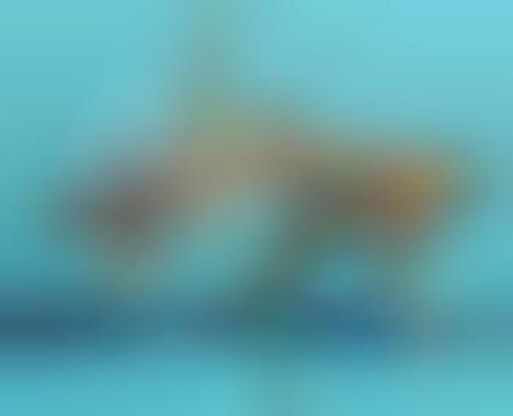 10 Hilarious Olympic Images 