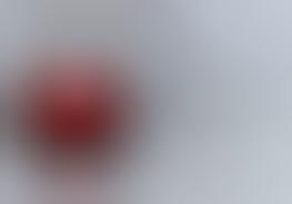 Viral Hoaxes as Art