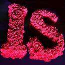 Flowers as a Font Image 2