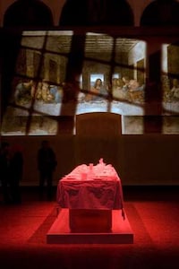 Animated da Vinci Paintings Image 3