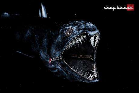Denim Fish
