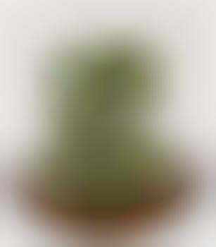 Disturbing Snow Globes