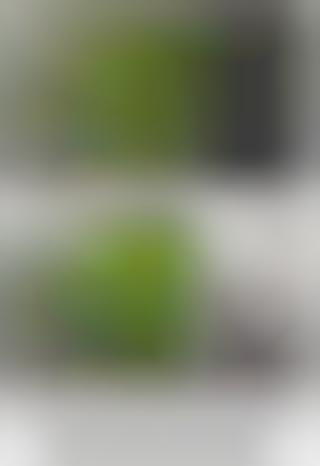 Light-Manipulating Lenses