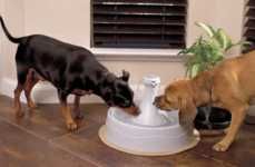 Sophisticated Animal Water Fountains