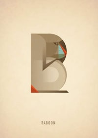 Alphabet Animal Typography Image 2