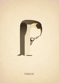Alphabet Animal Typography Image 7