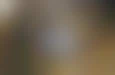 Customized Artistically Designed Guitars