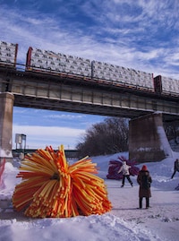 Pom Pom-Inspired Structures Image 3