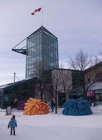 Pom Pom-Inspired Structures Image 8