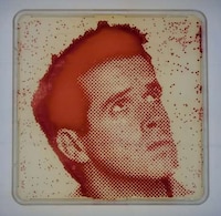 Bacteria-Grown Celebrity Portraits Image 6