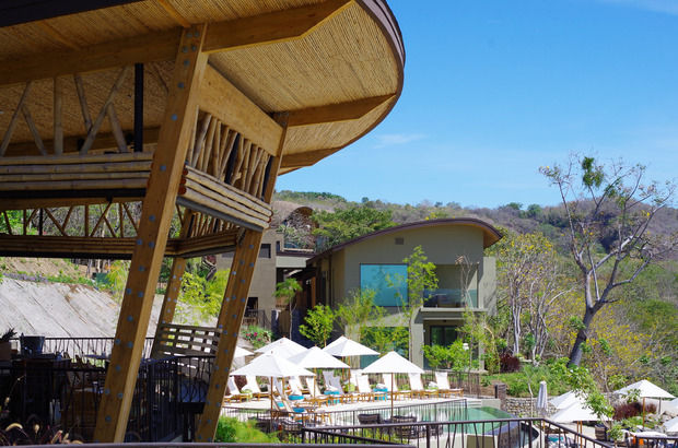 Immersive Tropical Hotels