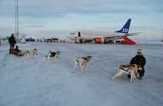 Dog Sled Taxi Services