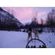 Dog Sled Taxi Services Image 2