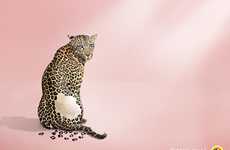 Pattern-Losing Animal Ads