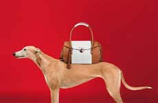 Posing Pooch Fashion Ads