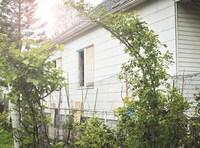 Literary House Giveaways Image 6