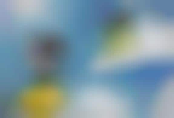 360-Scanning Camera Mounts