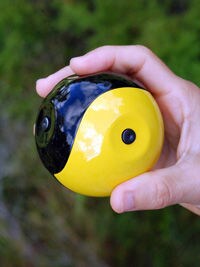 Throwable Panoramic Cameras