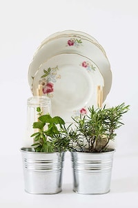 Plant-Watering Dish Trays Image 2