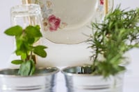 Plant-Watering Dish Trays Image 5
