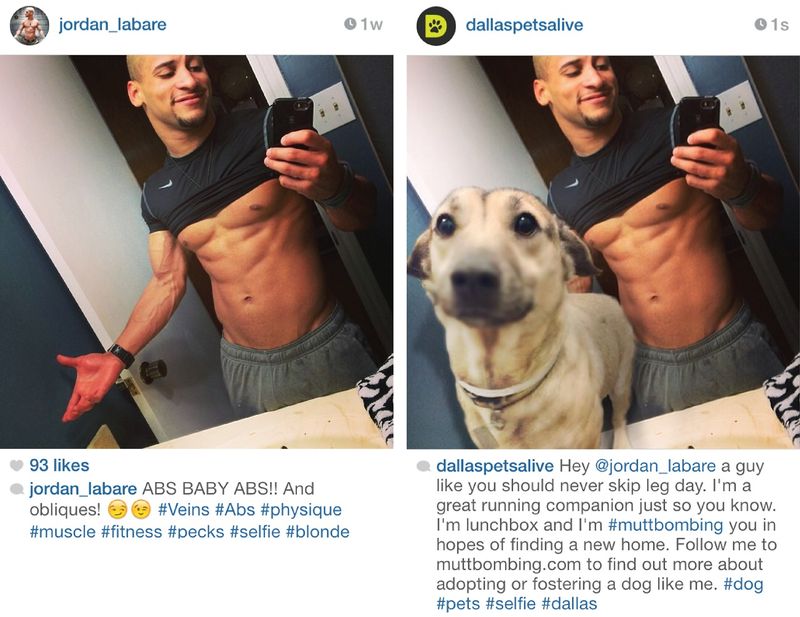 Puppy-Injected Selfies