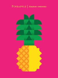 Succulent Graphic Fruit Illustrations Image 2