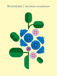 Succulent Graphic Fruit Illustrations Image 6