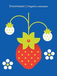 Succulent Graphic Fruit Illustrations Image 7