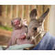 Aussie Animal Pair Photography Image 2