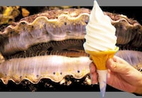 Fantasically Freaky Flavored Foods Image 5