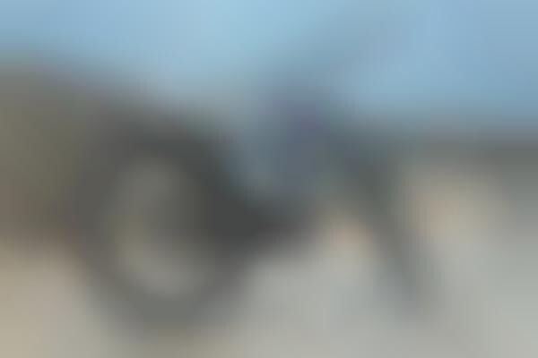 Cargo-Accommodating E-Bikes